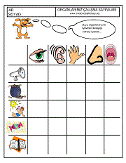 okul öncesi çocuklar için duyu organları çalışma sayfaları